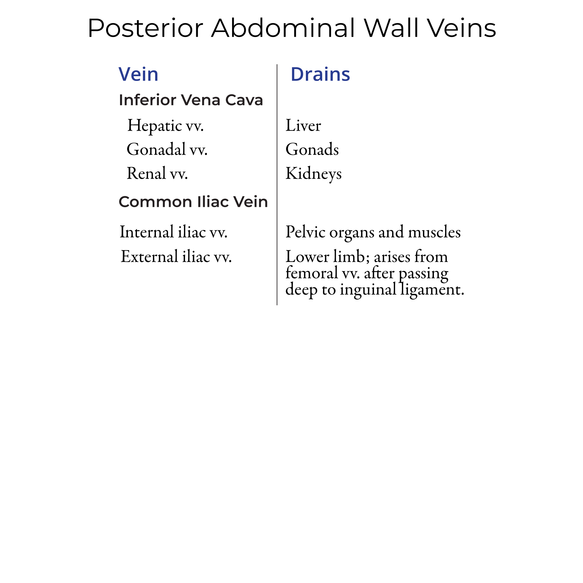 Posterior Abdominal Wall Vessels