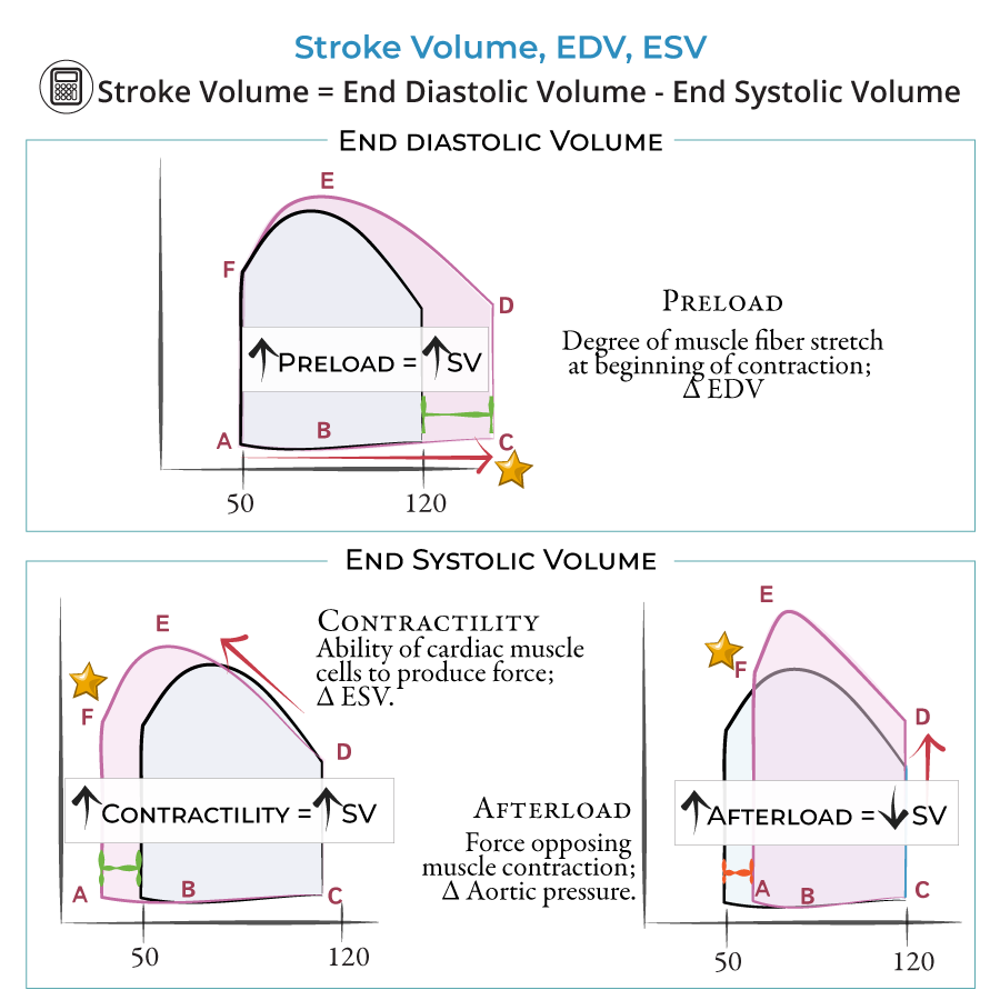 Stroke Volume