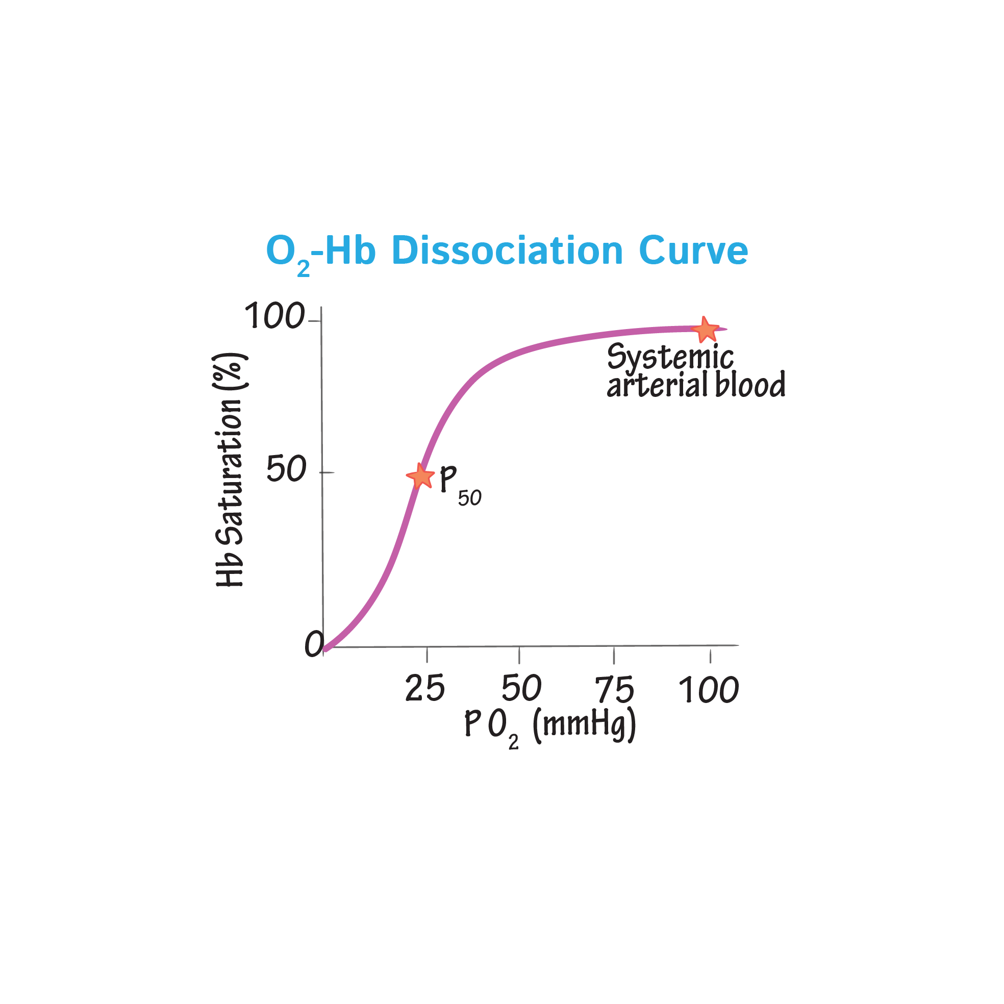 Physiology Glossary Oxygen Hemoglobin Dissociation Curve Draw It To 