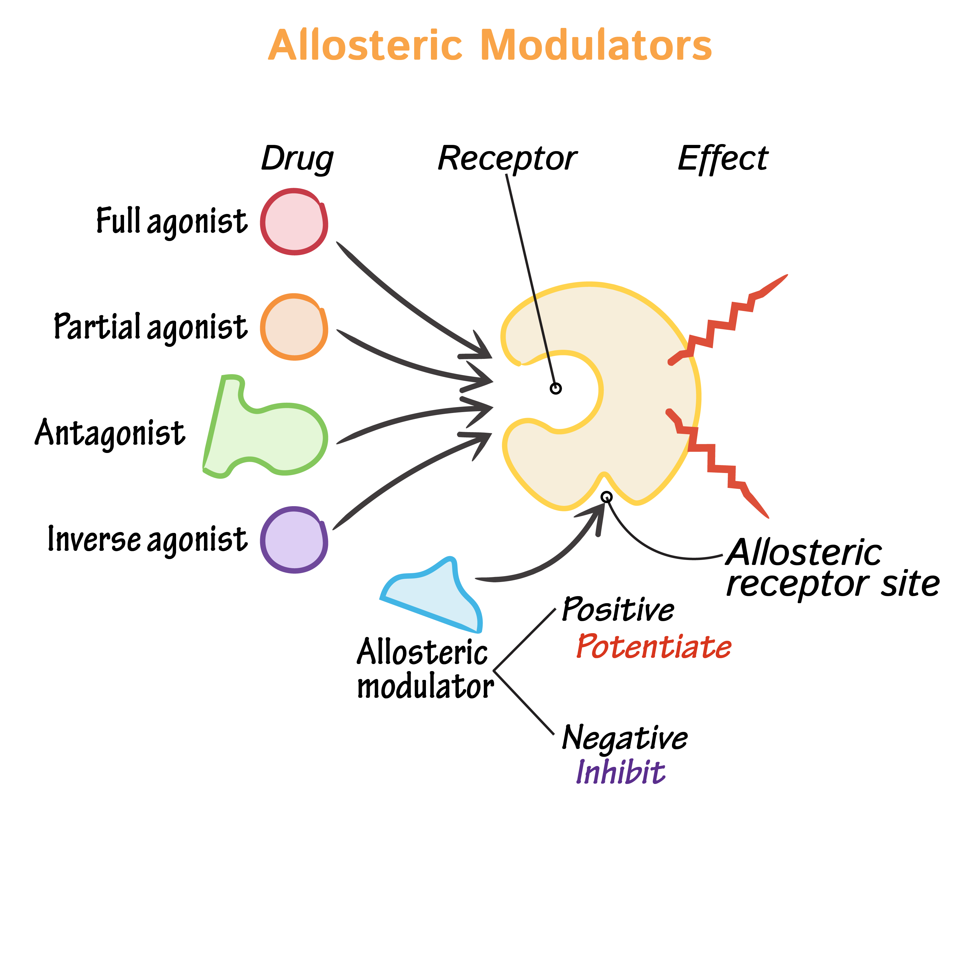 Clinical Pharmacology Glossary Allosteric Modulators Ditki Medical 