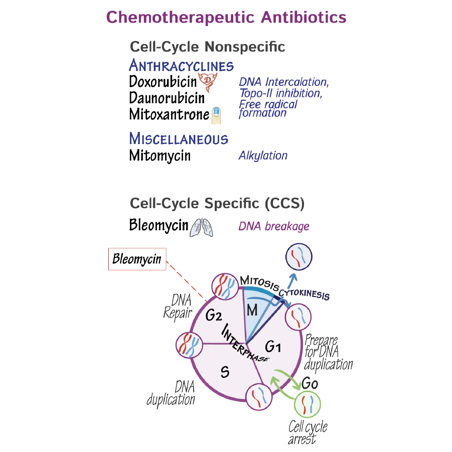 Chemotherapeutic Antibiotics