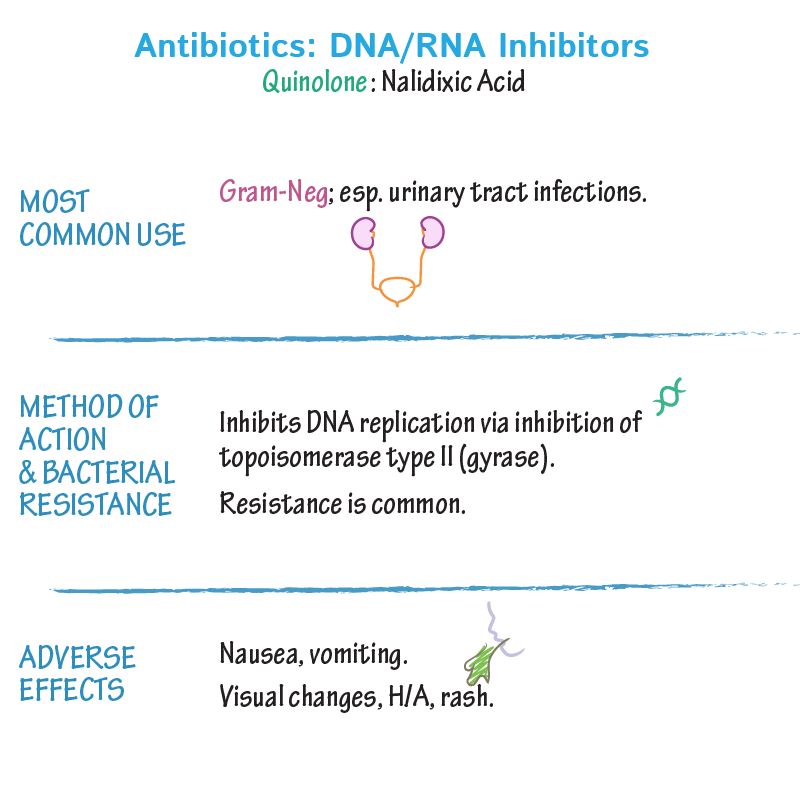 DNA/RNA Disruptors