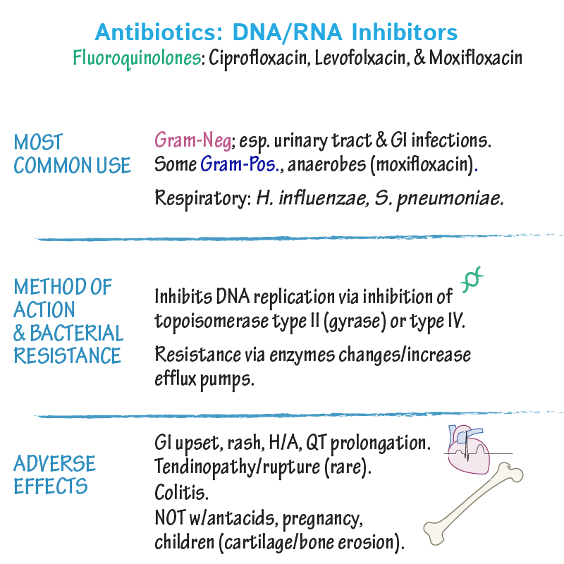 DNA/RNA Disruptors