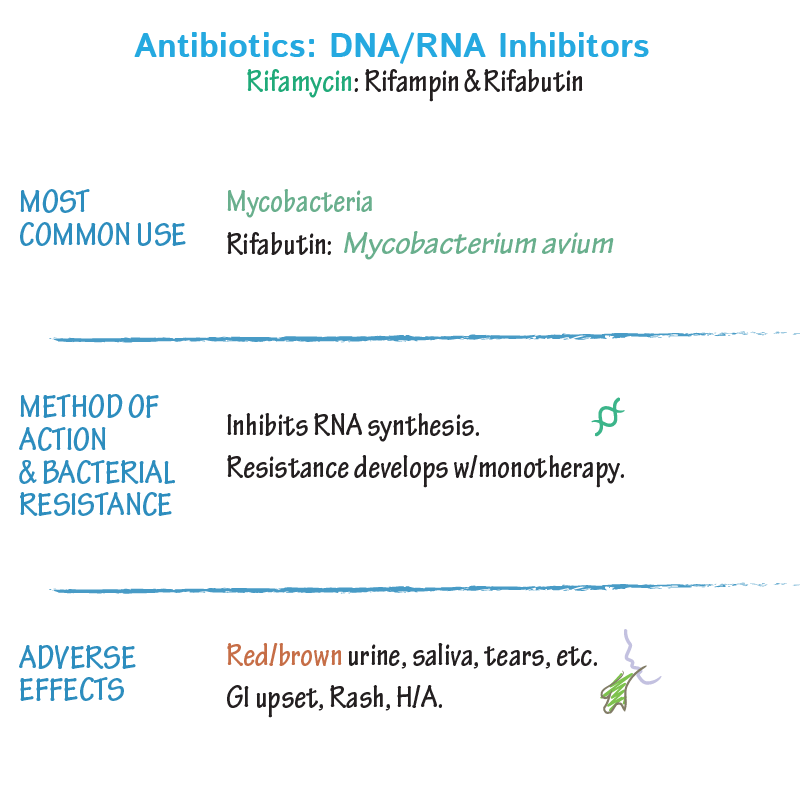 DNA/RNA Disruptors