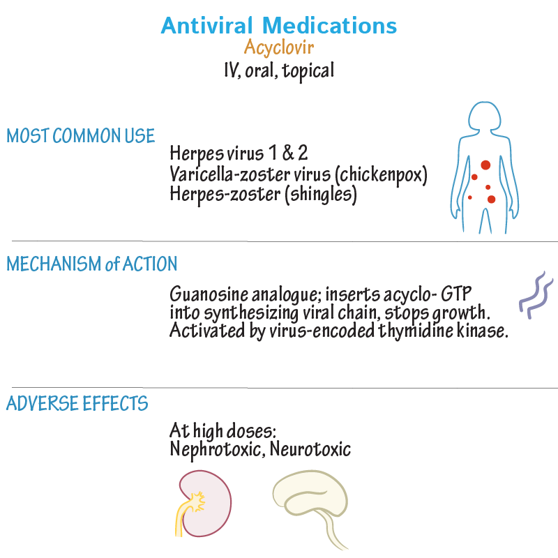 Herpesvirus Drugs