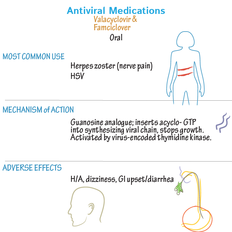 Herpesvirus Drugs