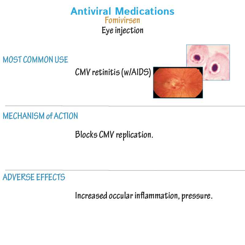 Herpesvirus Drugs