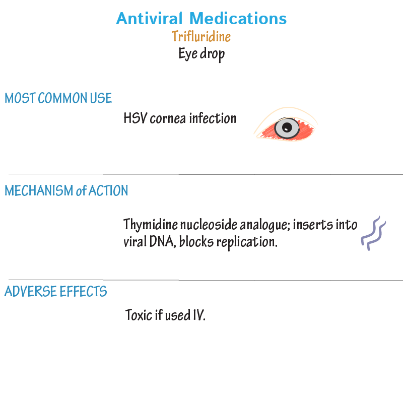 Herpesvirus Drugs