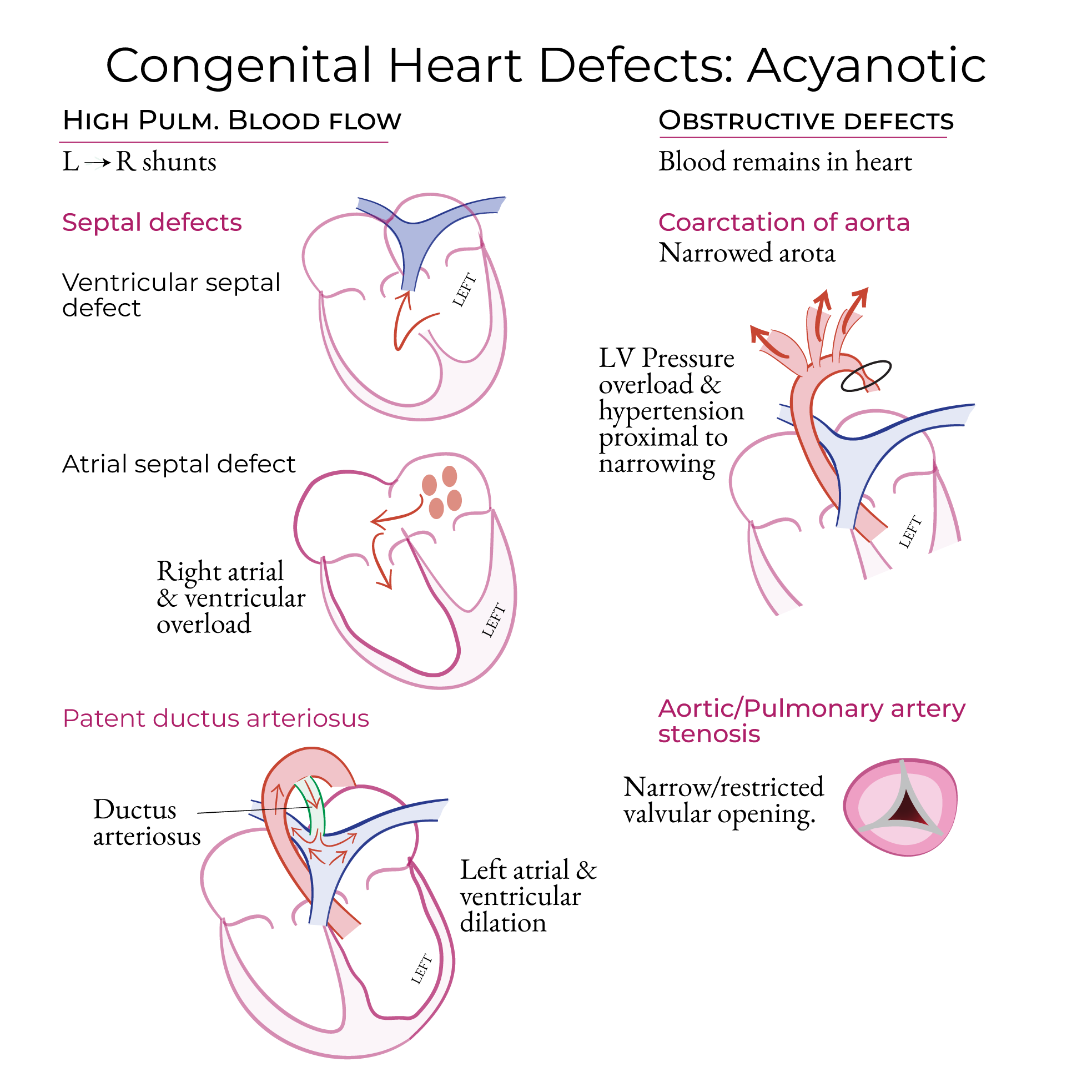 Cardiac Defects & Associated Congenital Disorders