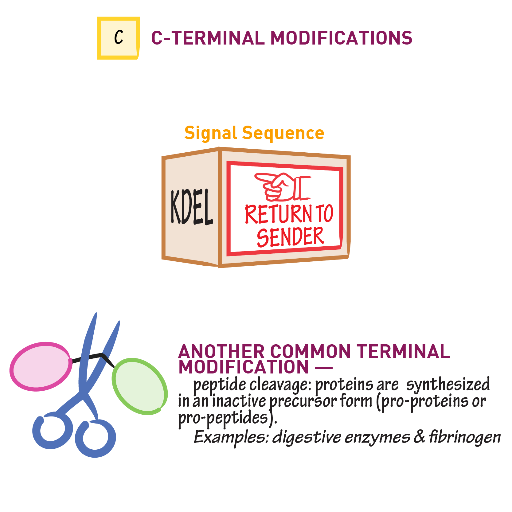 Terminal Modifications