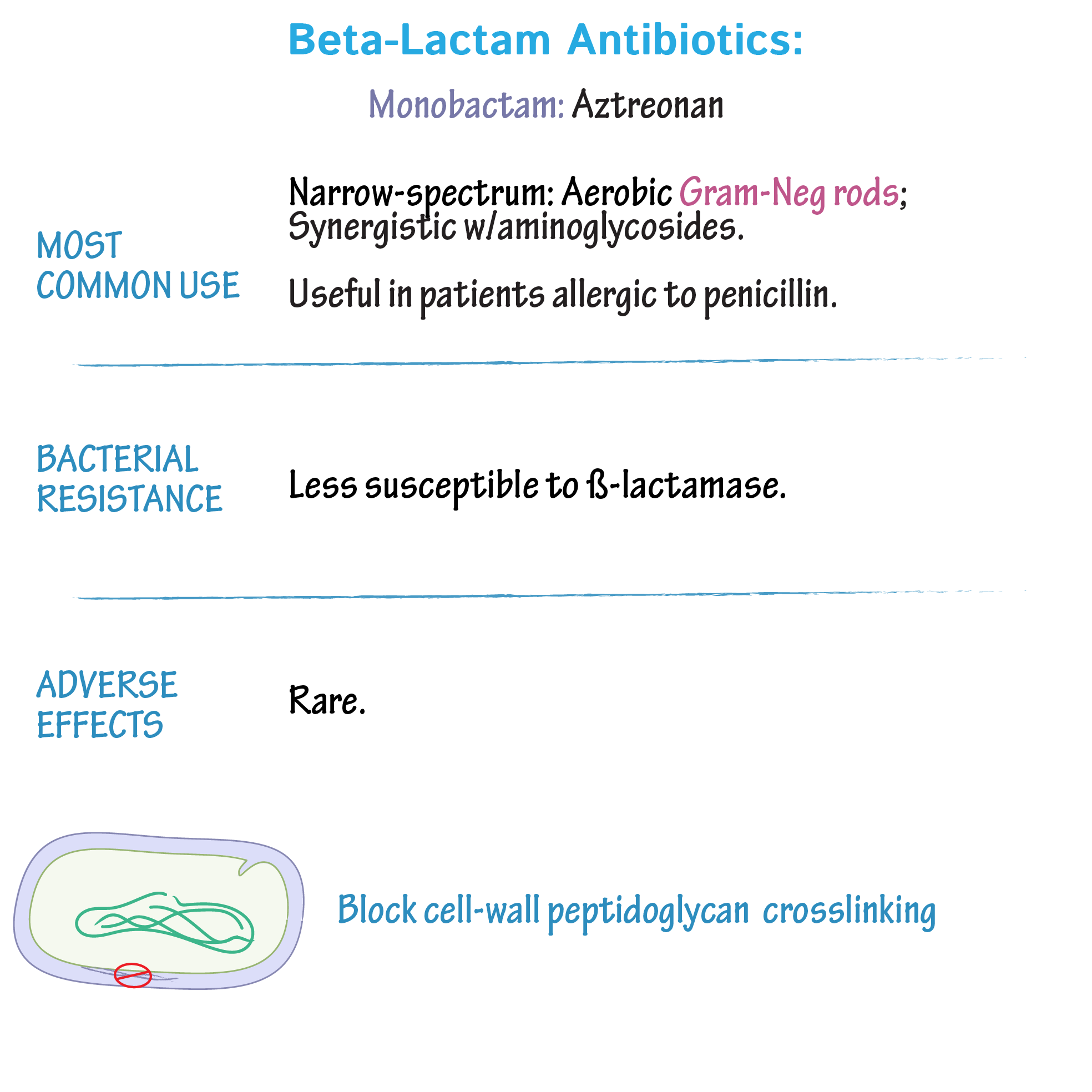Monobactam: Aztrenoan
