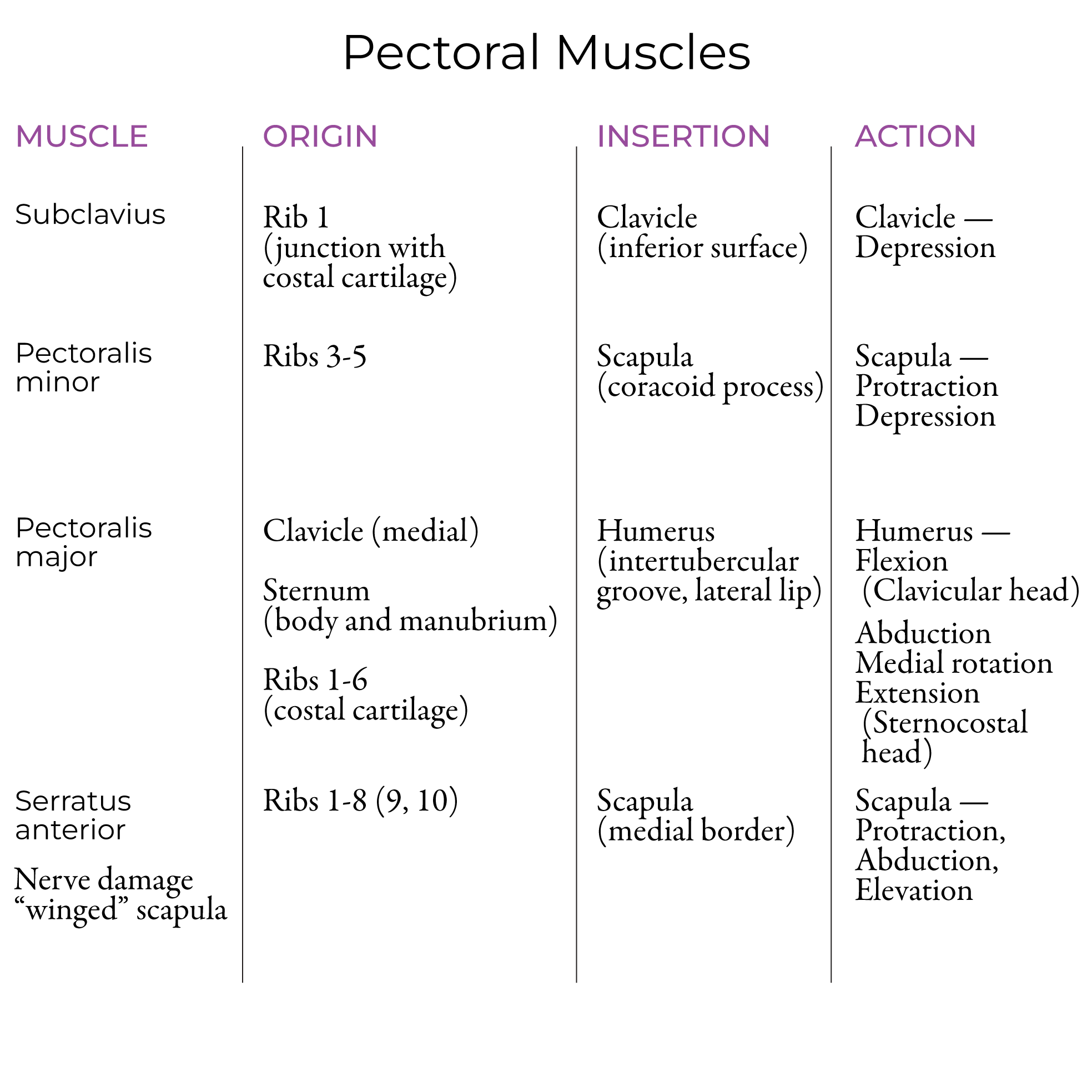 Pectoral & Axillary Muscles