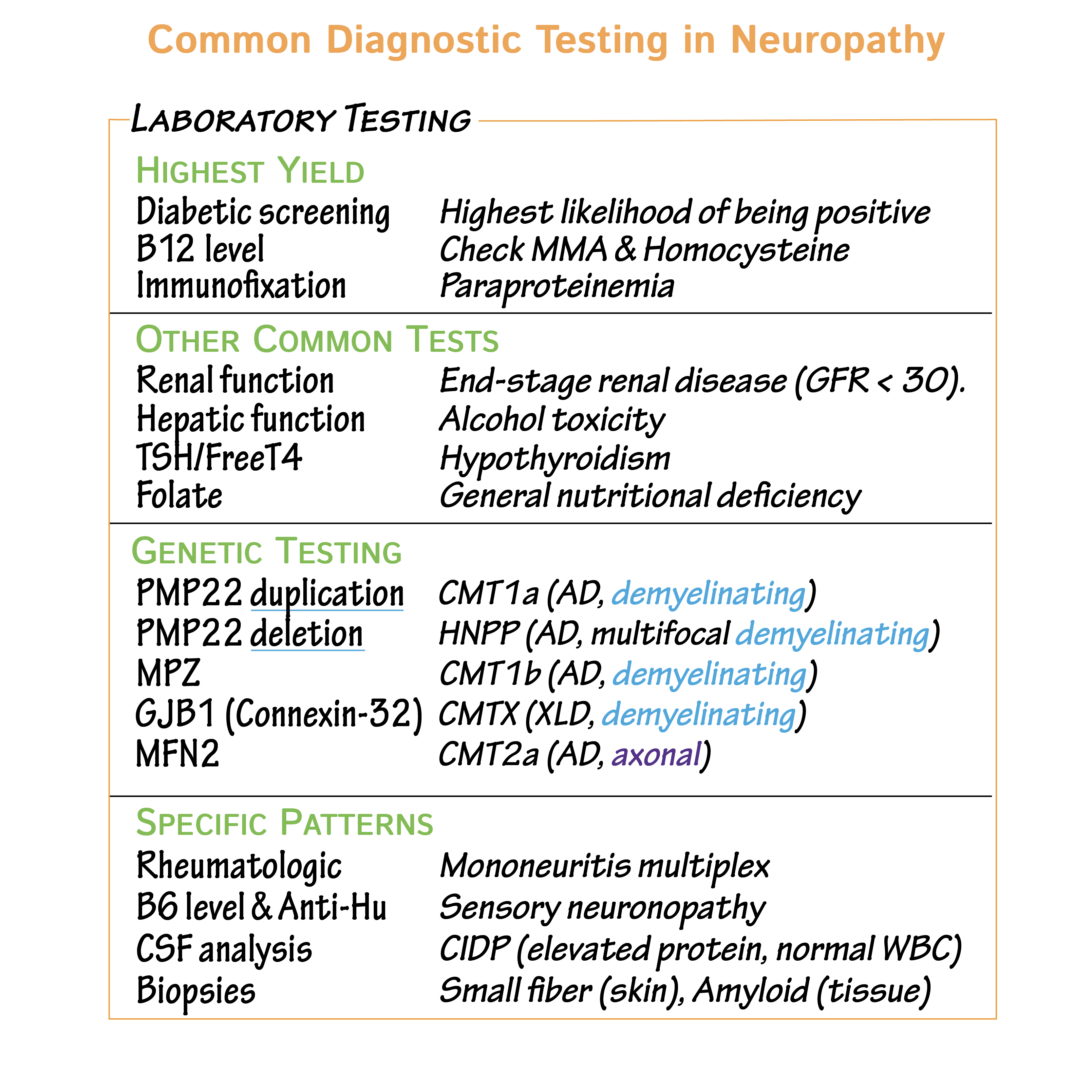 Polyneuropathty - Diagnostic Testing