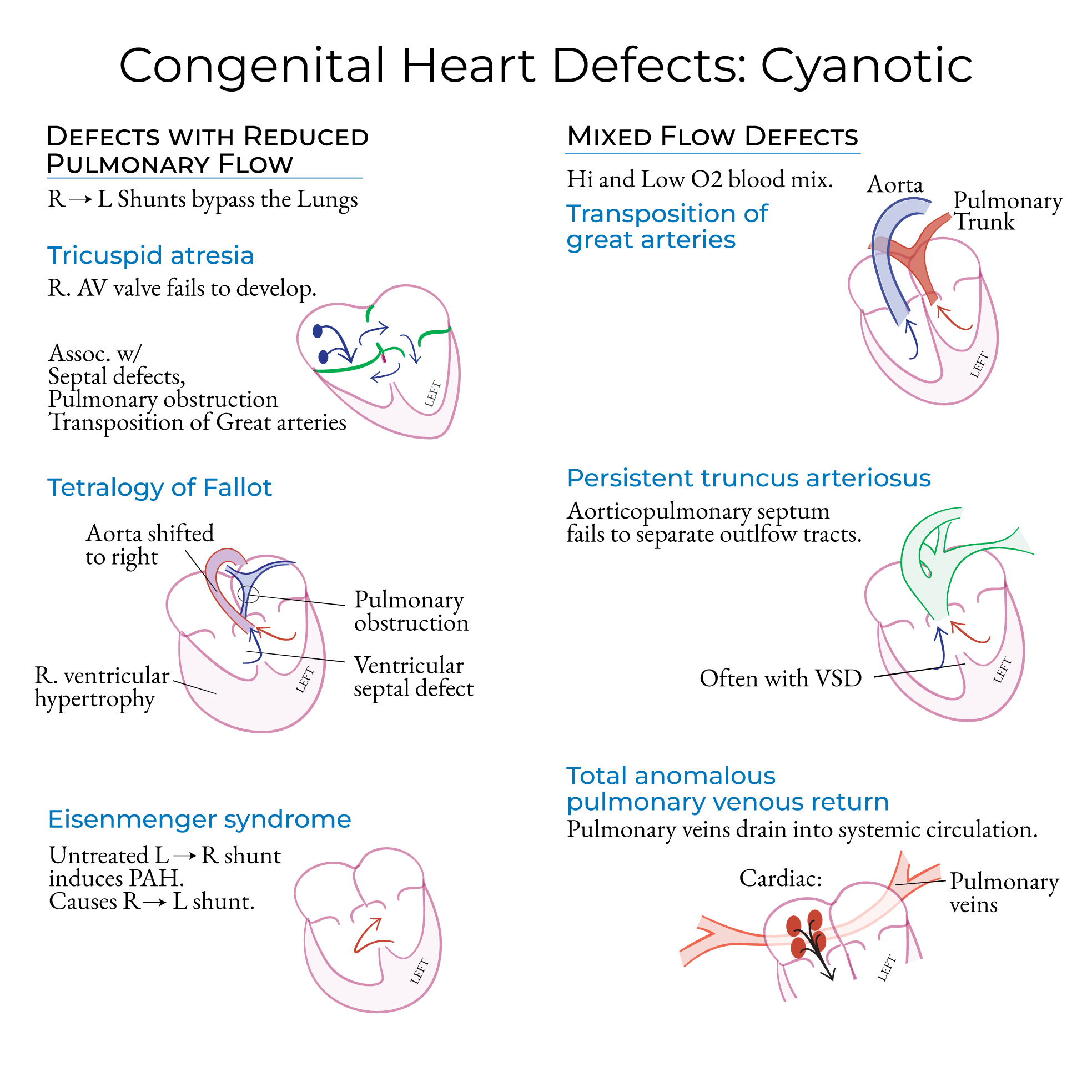 Cardiac Defects & Associated Congenital Disorders