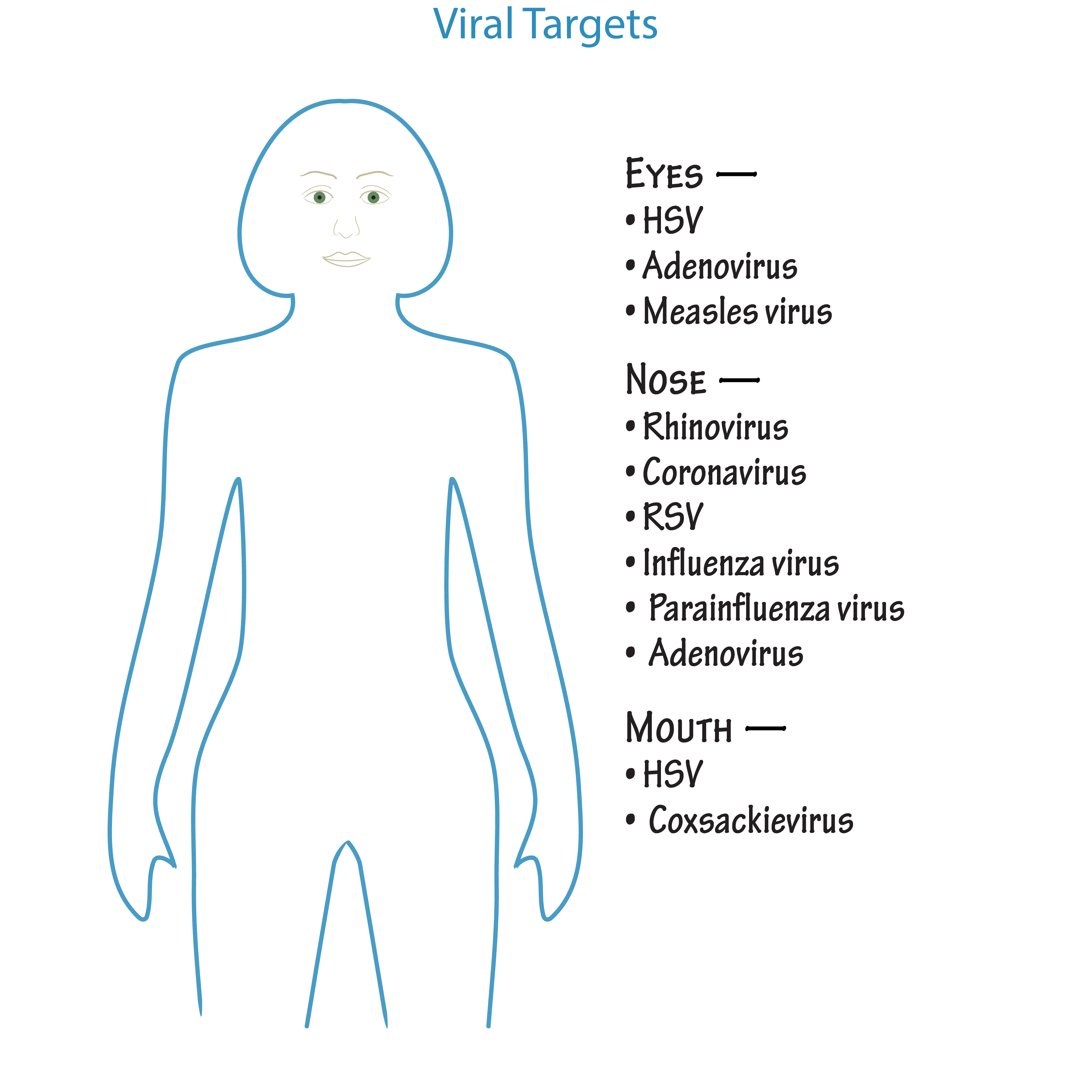 Target Tissues of Viruses