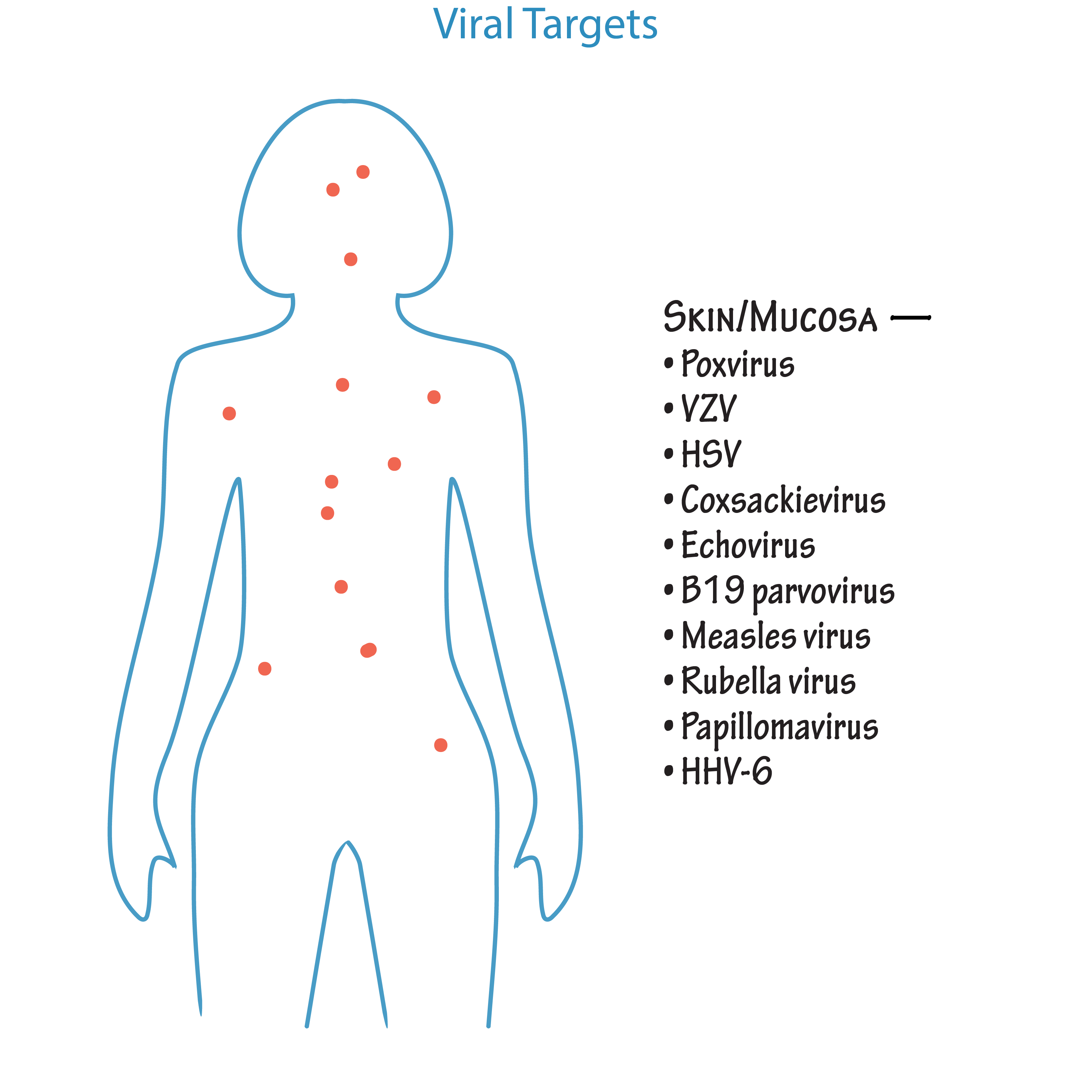 Target Tissues of Viruses