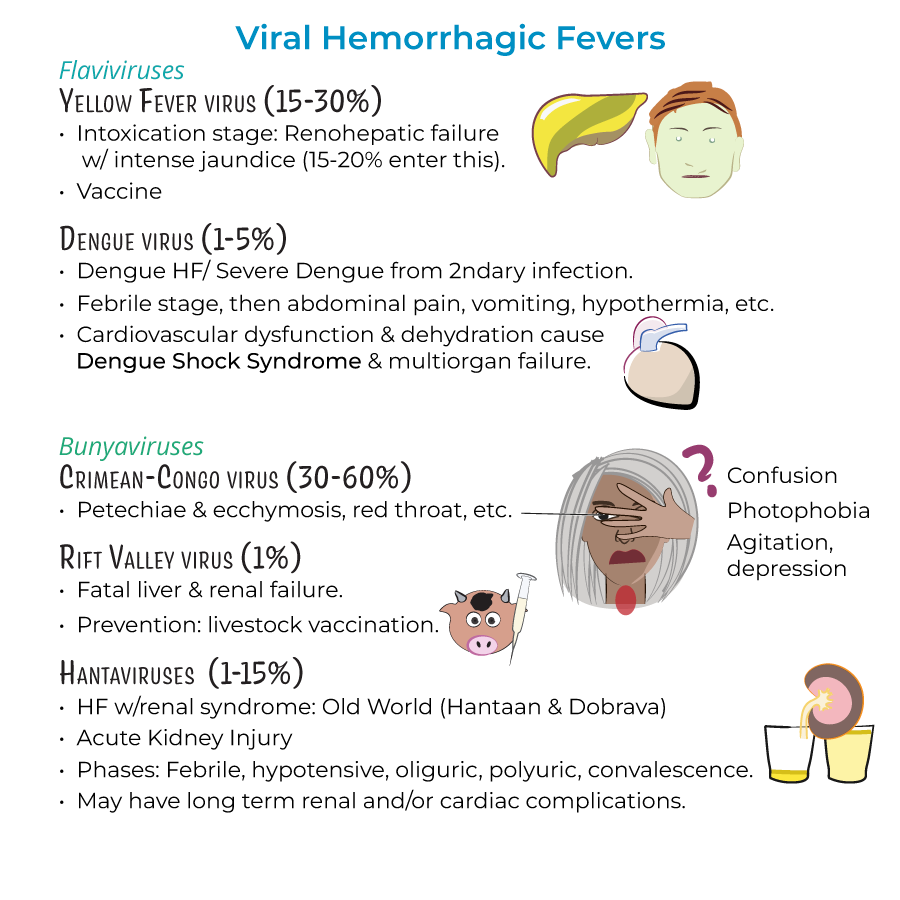 Immunology Microbiology Glossary Viral Hemorrhagic Fevers Ditki Immunology Microbiology Glossary Viral Hemorrhagic Fevers Ditki