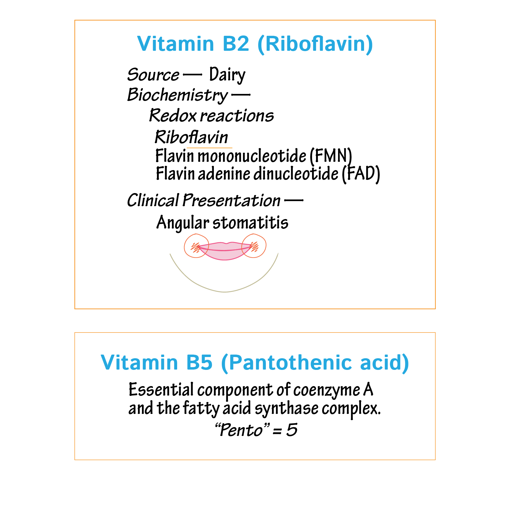 Nutritional Disorders: Vitamins C, B2, B3, B5, & B7