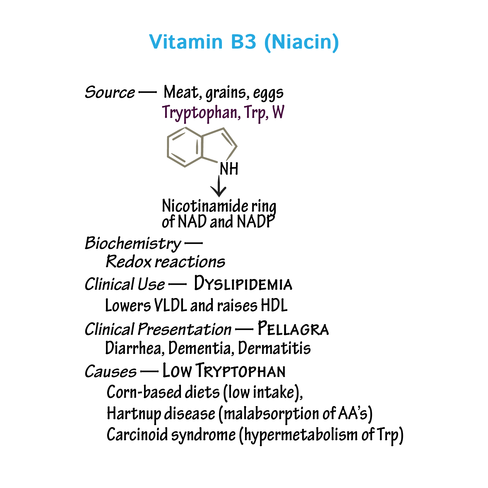 Nutritional Disorders: Vitamins C, B2, B3, B5, & B7