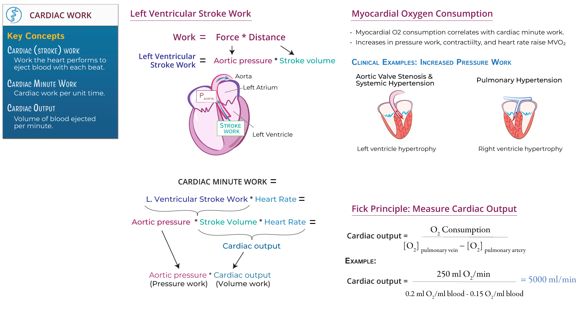 Cardiac Output Formula Diagram