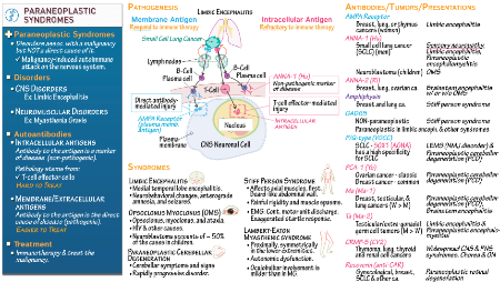 Neurology Residency (RITE Exam): Paraneoplastic Disease, Part 2 ...
