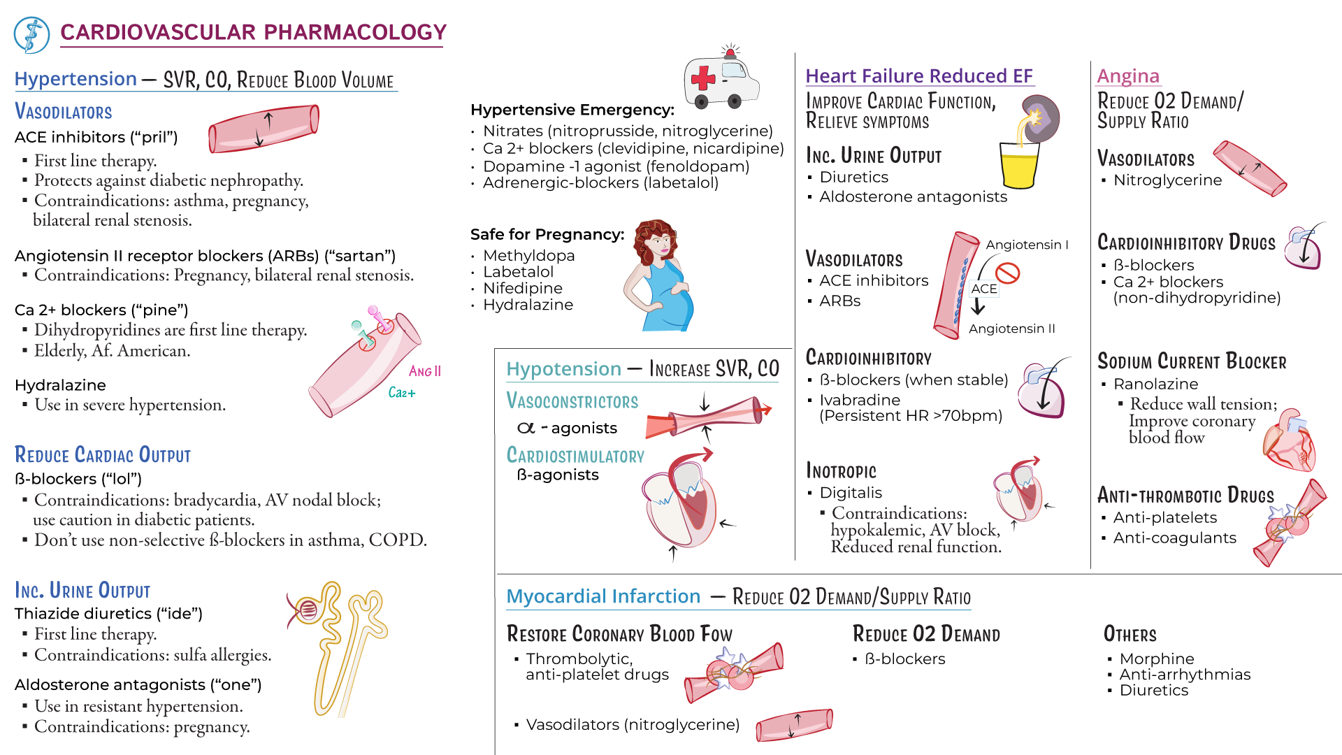 EDU Module D Cardiovascular Pharmacology Ditki Medical 