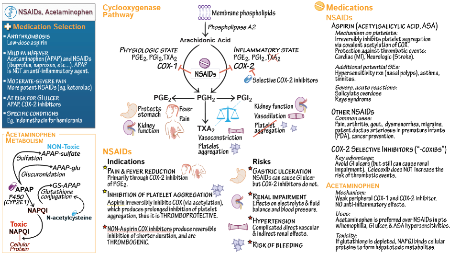 Clinical Medicine: NSAIDs & Acetaminophen | ditki medical & biological ...