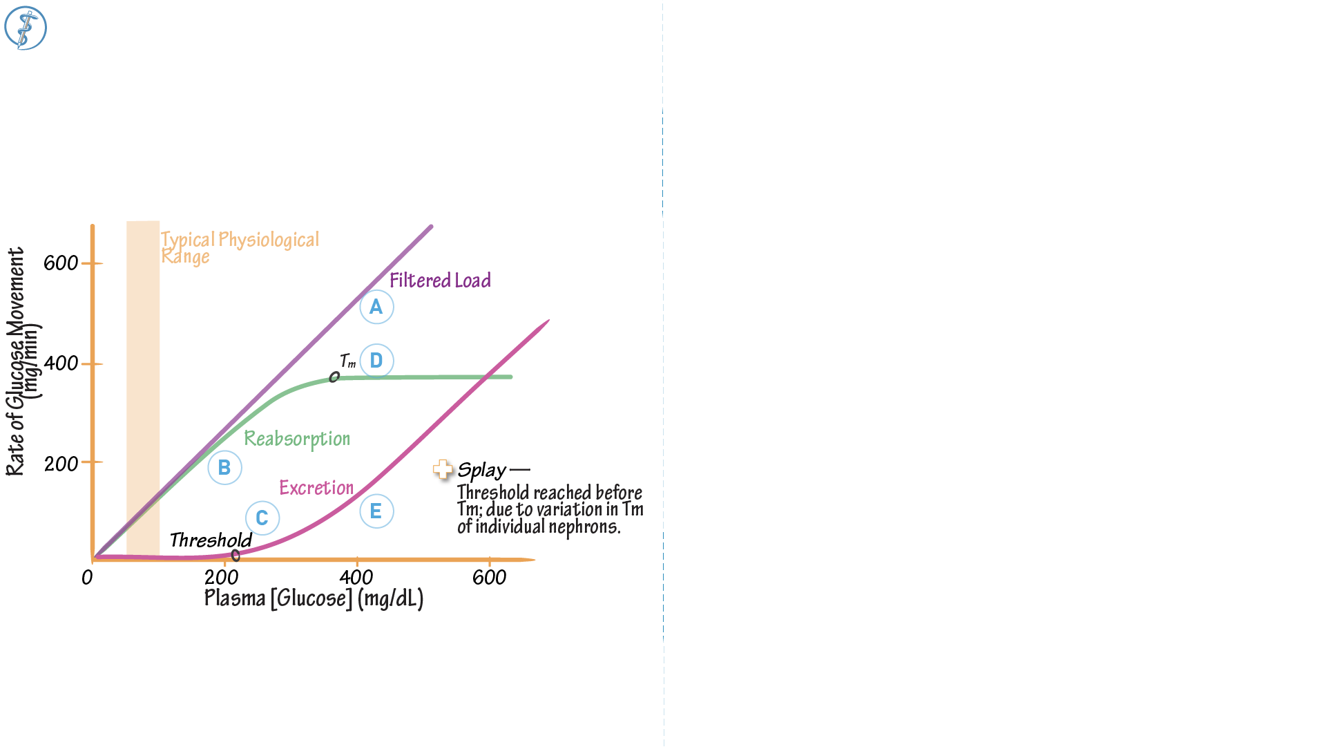 Mastering The Glucose Standard Curve A Simple Explanation - phg16ig
