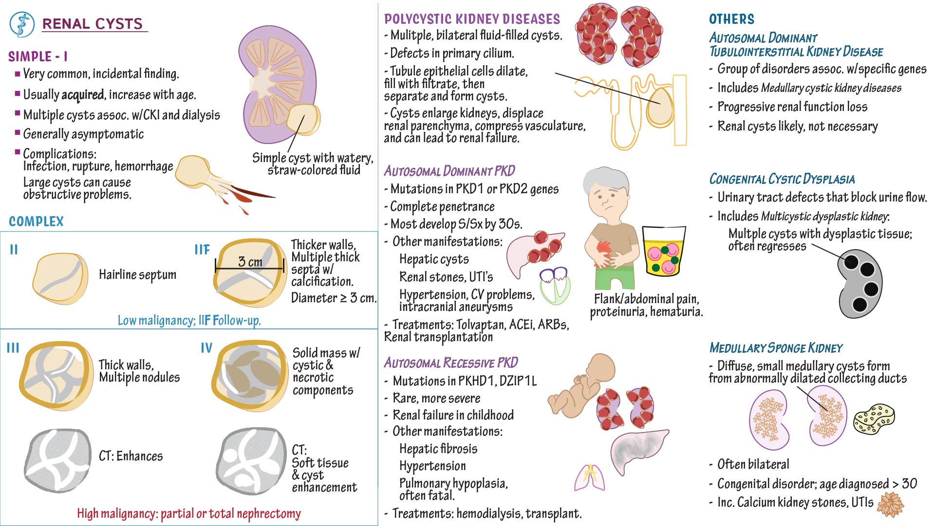 USMLE COMLEX Step 1 Renal Cysts Polycystic Diseases Ditki 