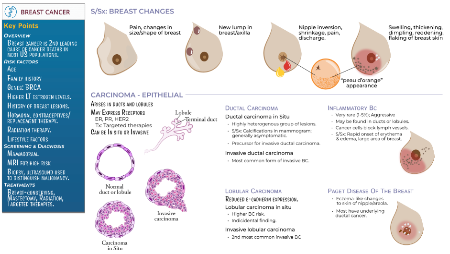 Clinical Pathology: Breast Cancer | ditki medical & biological sciences