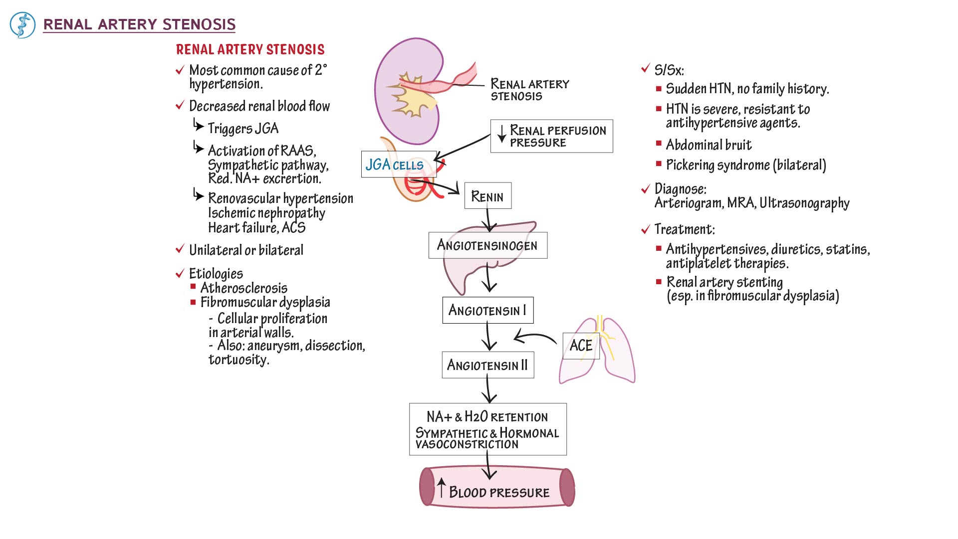 Pathology Renal Artery Stenosis Draw It To Know It