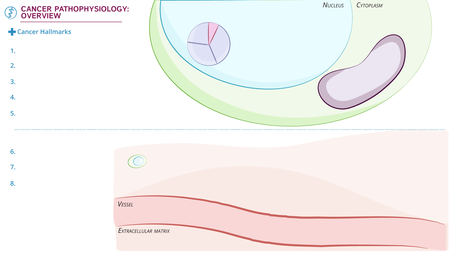 Clinical Pathology: Cancer Pathophysiology Overview | ditki medical ...