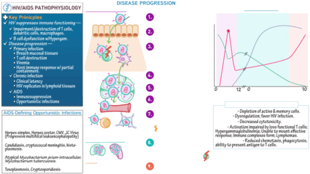 Hematologic / Immunologic System: Pathophysiology of HIV | ditki ...