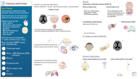 Clinical Medicine: Congenital Infections (TORCHeS) | ditki medical ...