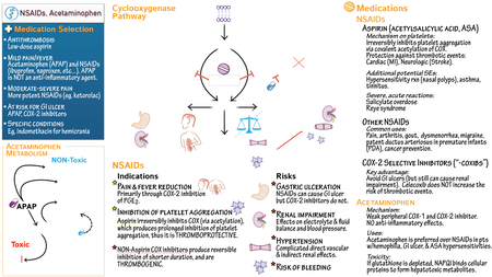 Clinical Medicine: NSAIDs & Acetaminophen | ditki medical & biological ...
