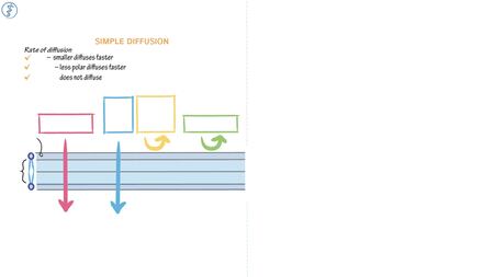 Cell Biology: Simple Diffusion | ditki medical & biological sciences