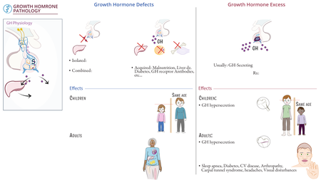Clinical Pathology: Growth Hormone Pathology | ditki medical ...